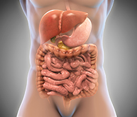 Gastrointestinal system- concept of agni Diagnosis